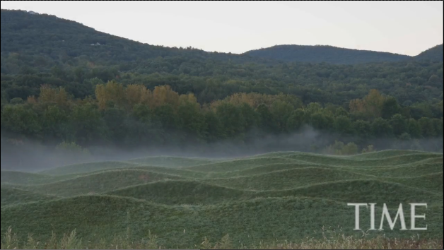 Waves of Grass: Maya Lin’s ‘Wave Field’